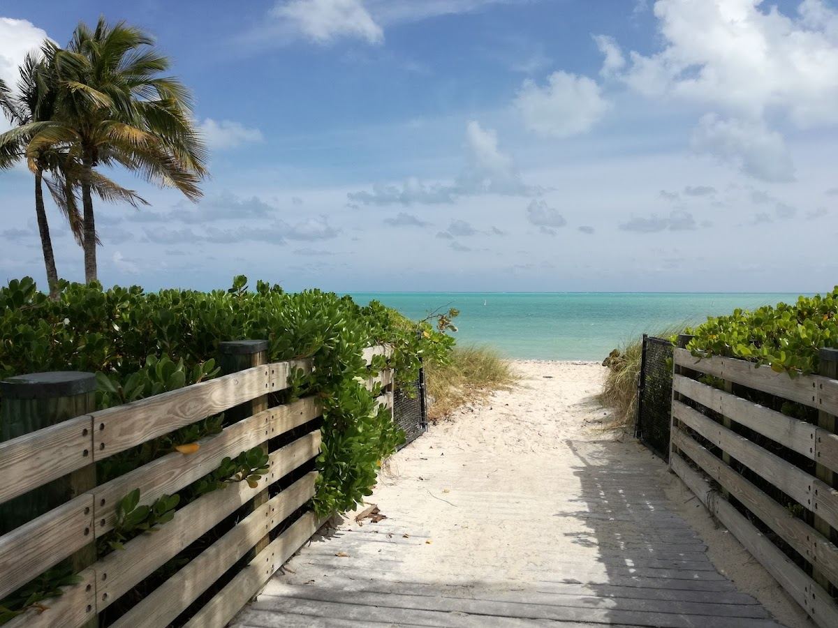 The pier and clear shallow water beside the palms at Sombrero Beach in Marathon in the Florida Keys