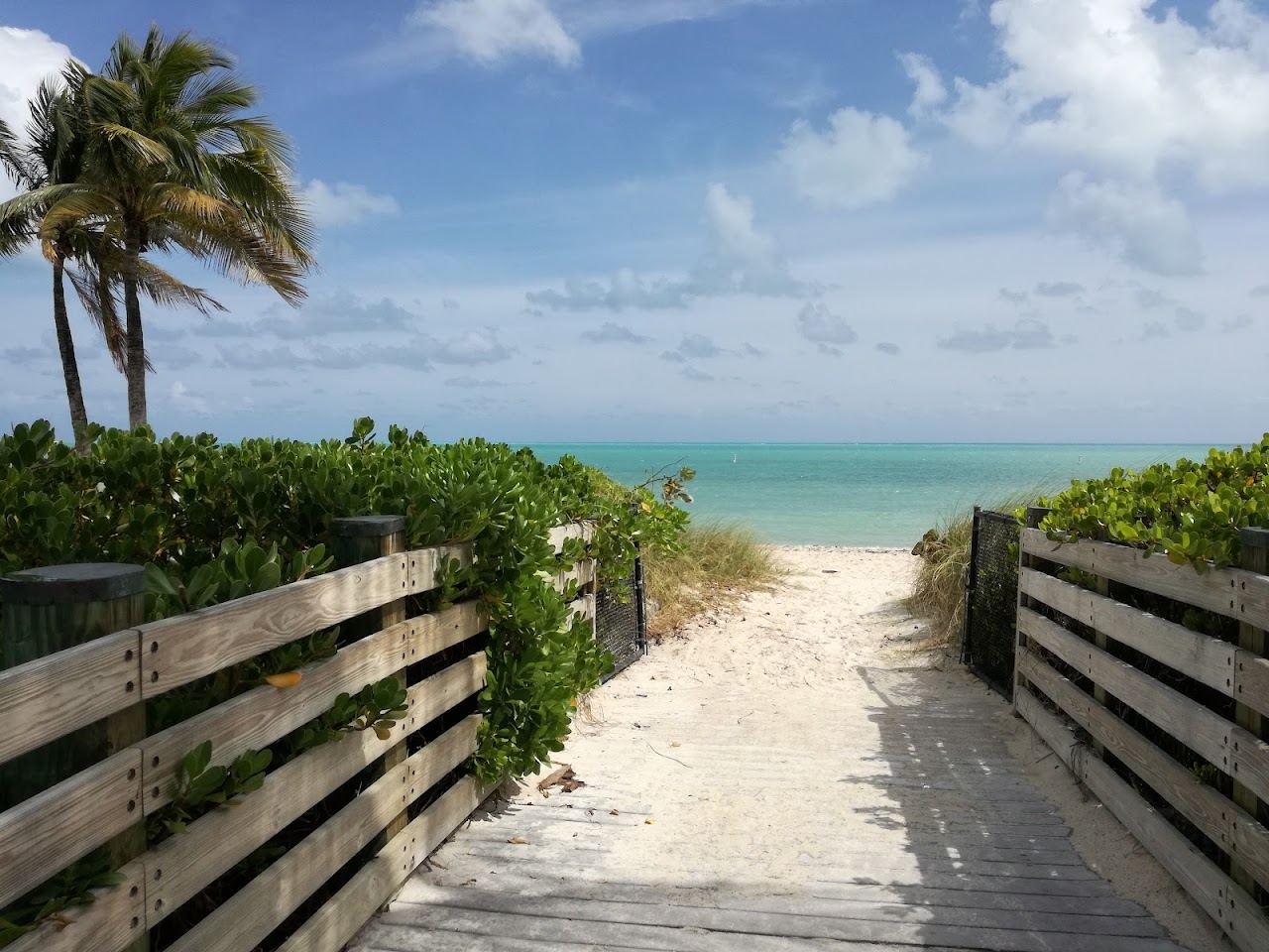 The clean white sand and palms of Sombrero Beach in Marathon in the Florida Keys