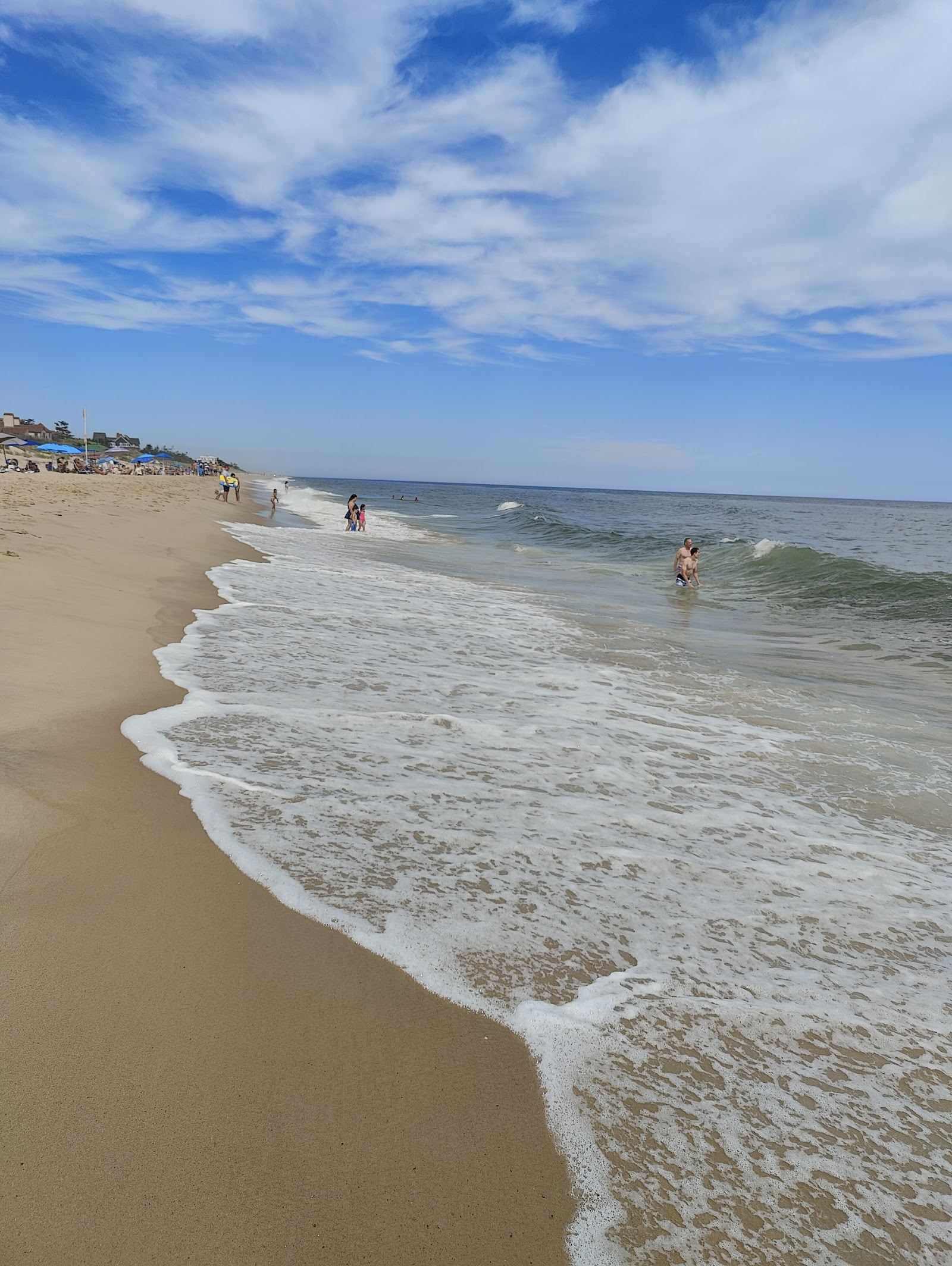 The dunes at Georgica Beach in East Hampton