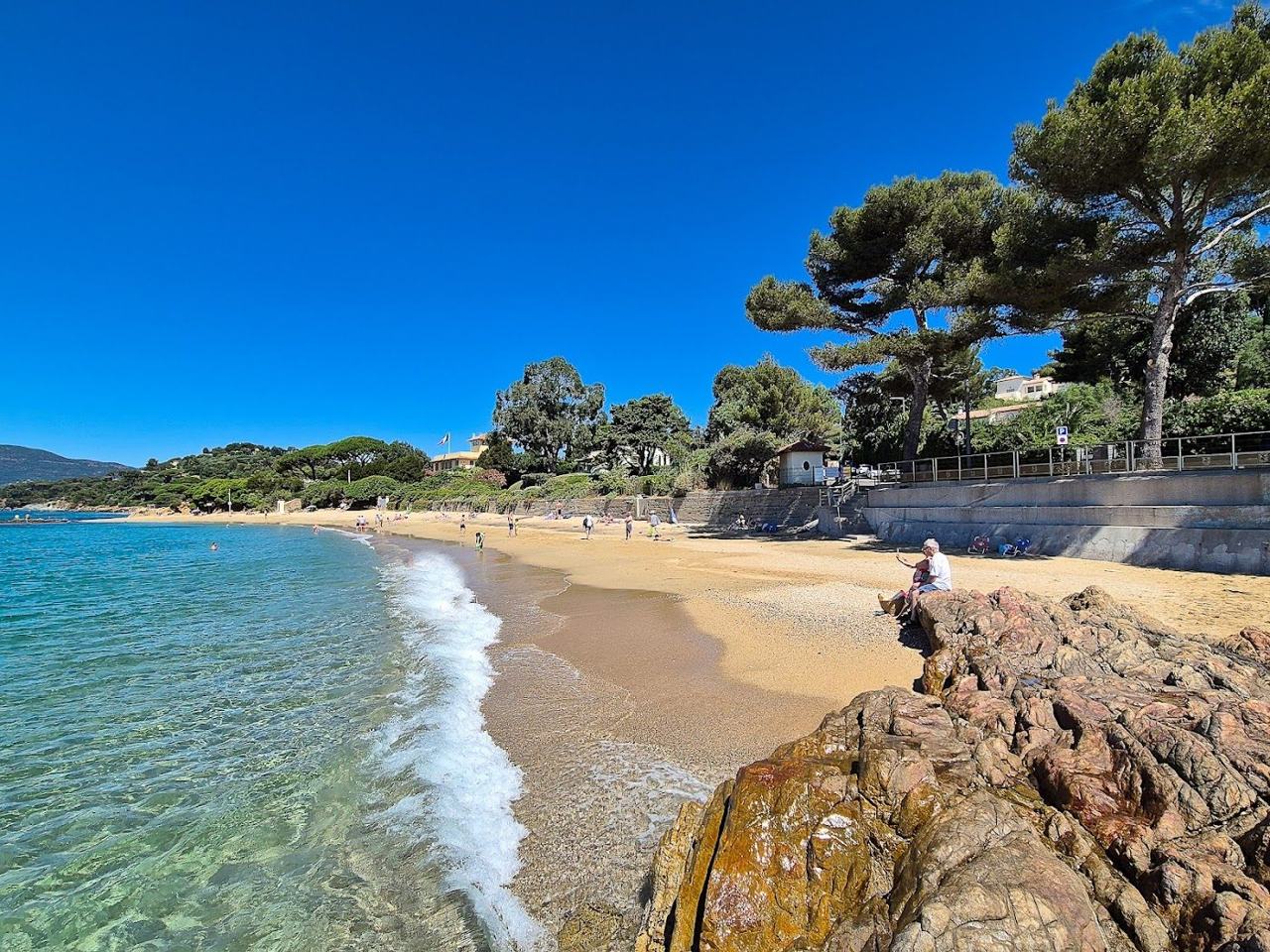 Calm pine backed Gigaro beach with clear water near La Croix Valmer French Riviera