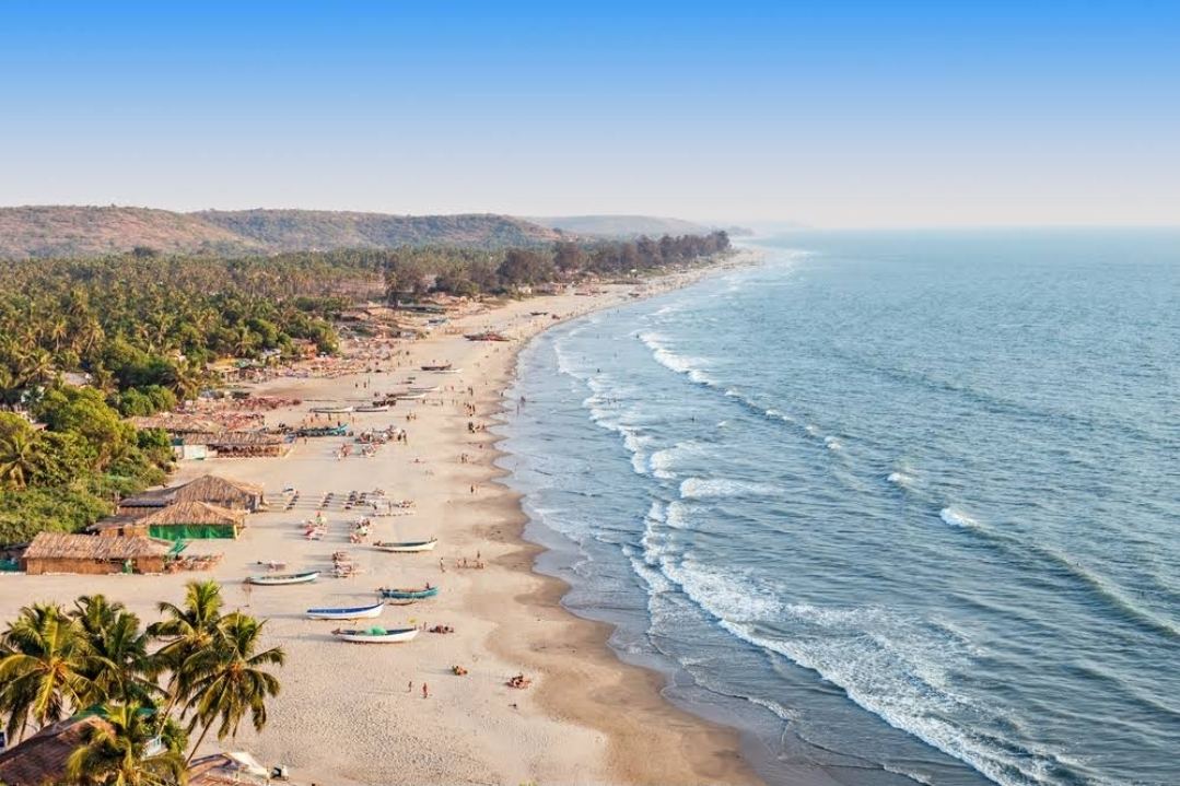 Curved palm fringed crescent of pale sand at Palolem Beach in south Goa
