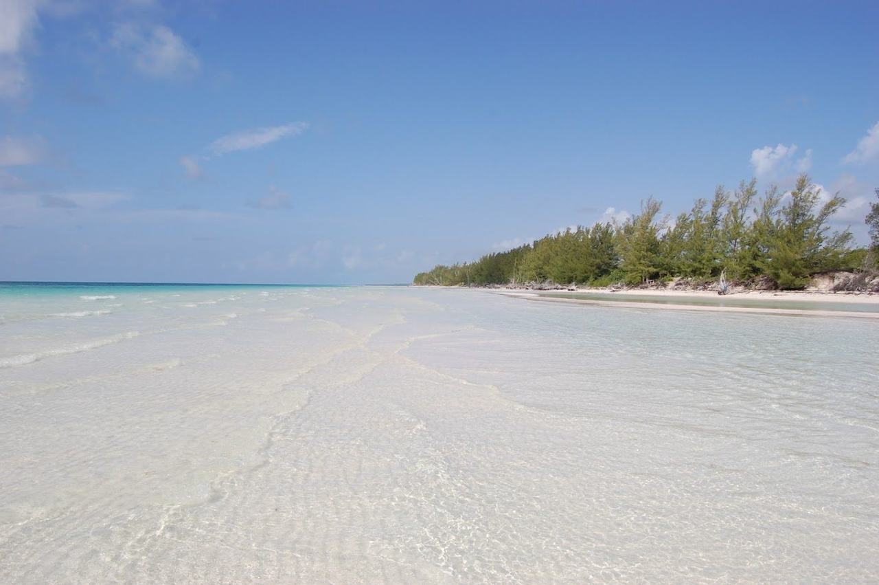 Empty pale sand and shallow turquoise water at Gold Rock Beach Grand Bahama Bahamas