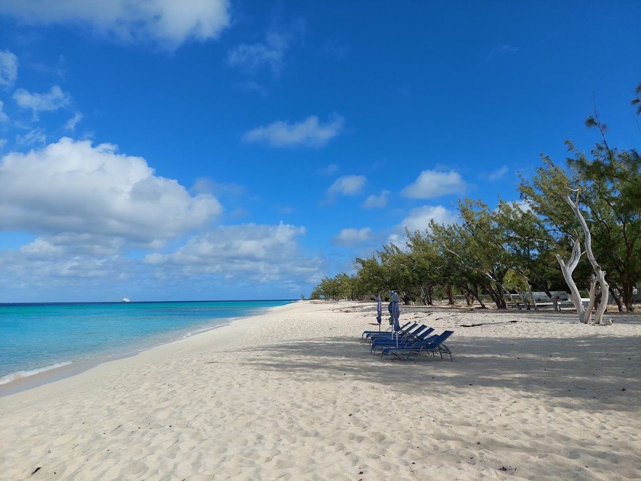 Governor's Beach Grand Turk wide white sand and calm clear water backed by casuarina trees