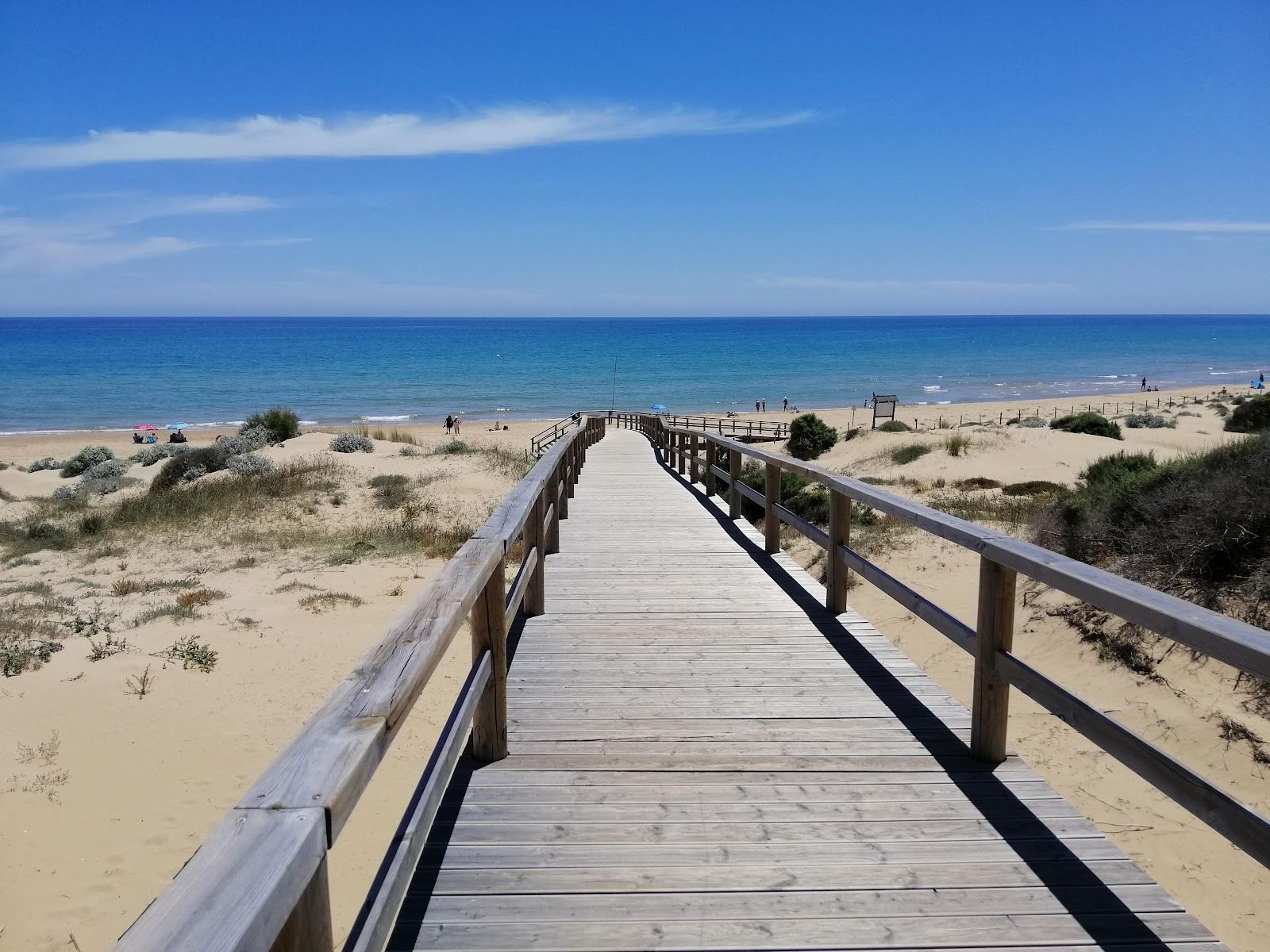 Playa de Guardamar, fine sand backed by pine and dune forest