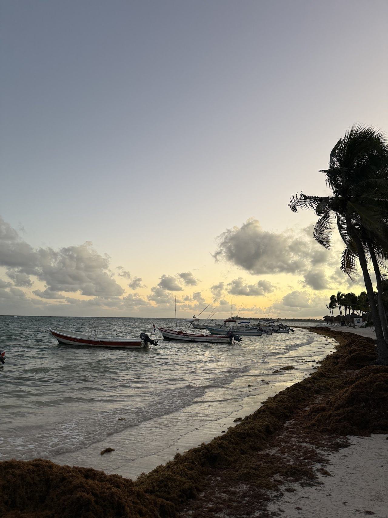 Reef sheltered shallows and rocky shore for snorkeling at Half Moon Bay in Akumal