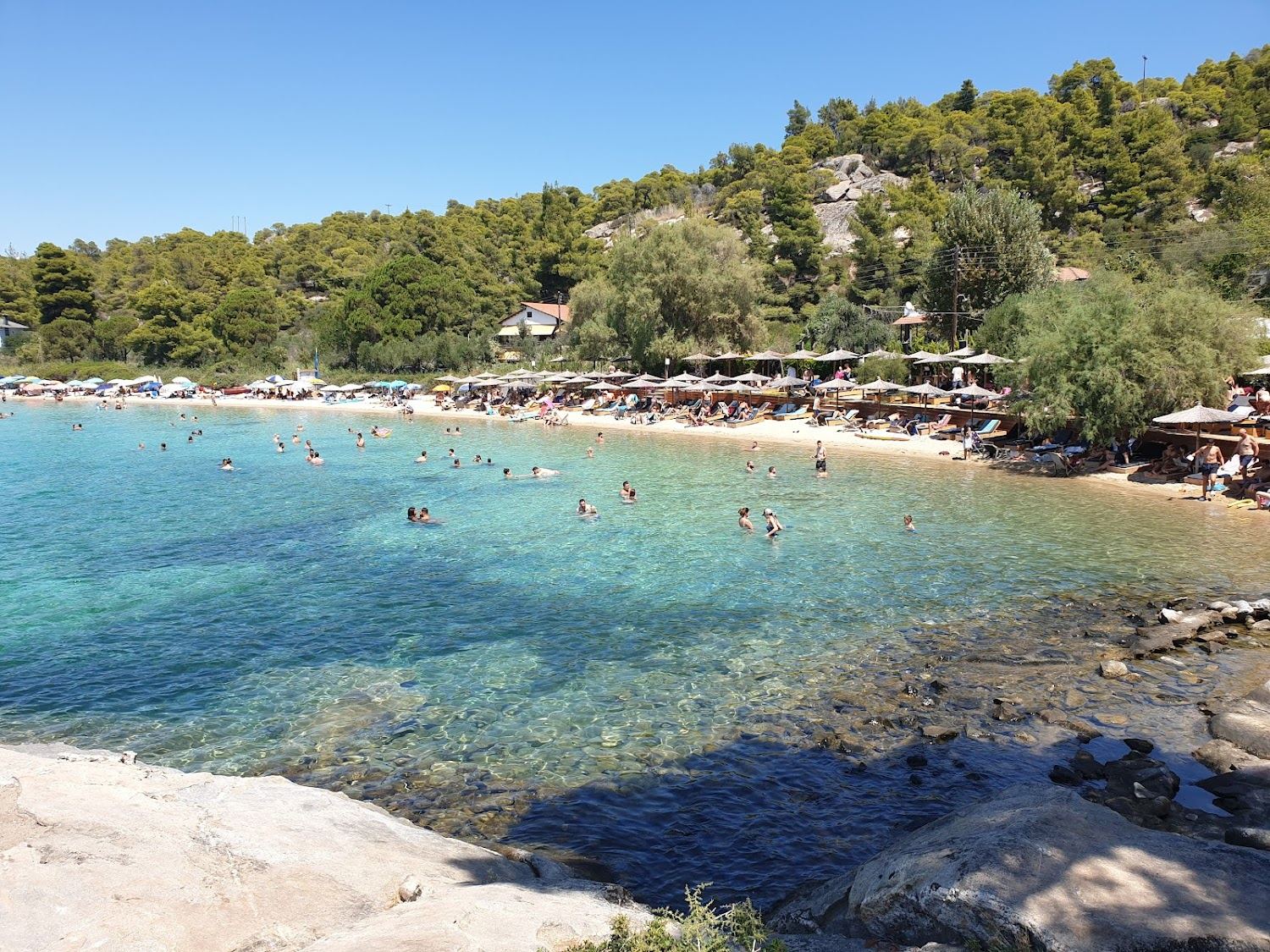 Soft sand and calm shallow turquoise water at Kalogria, a family beach near Nikiti on Sithonia in Halkidiki