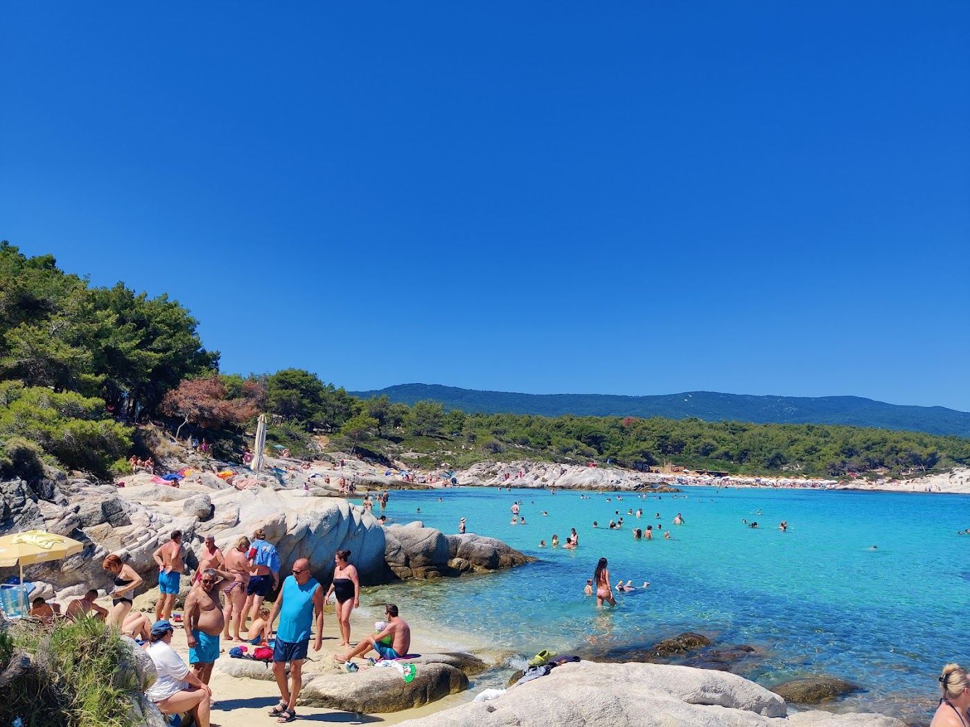 Clear water over rock at a pine backed cove on the Sithonia peninsula, Halkidiki