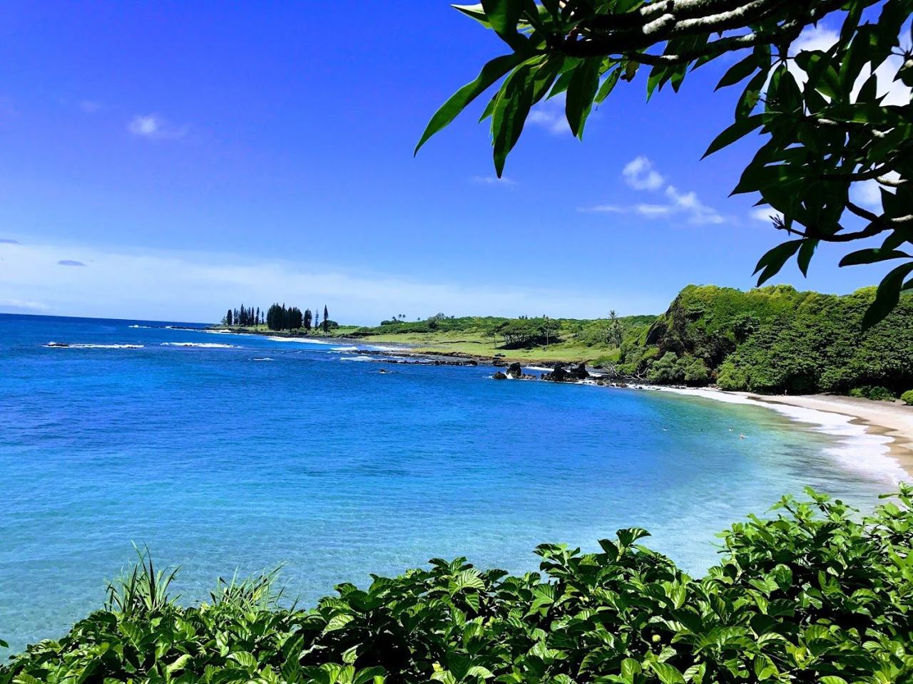 Hamoa Beach Maui a small cliff backed cove of grey gold sand near Hana with lush green slopes and blue surf