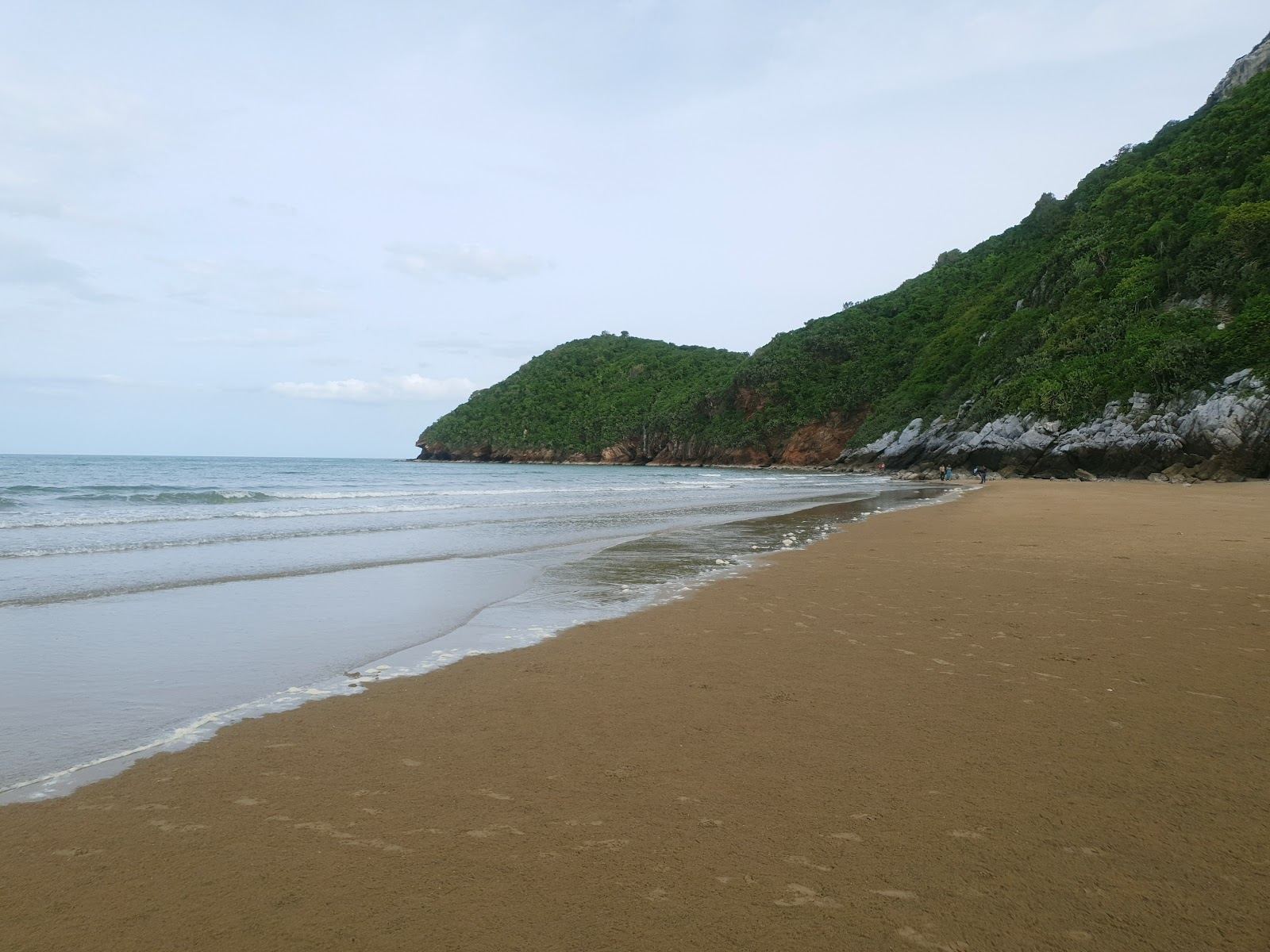 A quiet empty beach backed by casuarina trees on the coast south of Hua Hin in Thailand