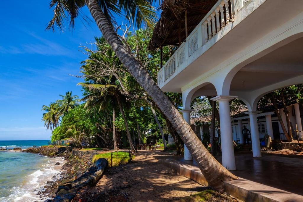 Palm fringed bay on the Sri Lanka south coast