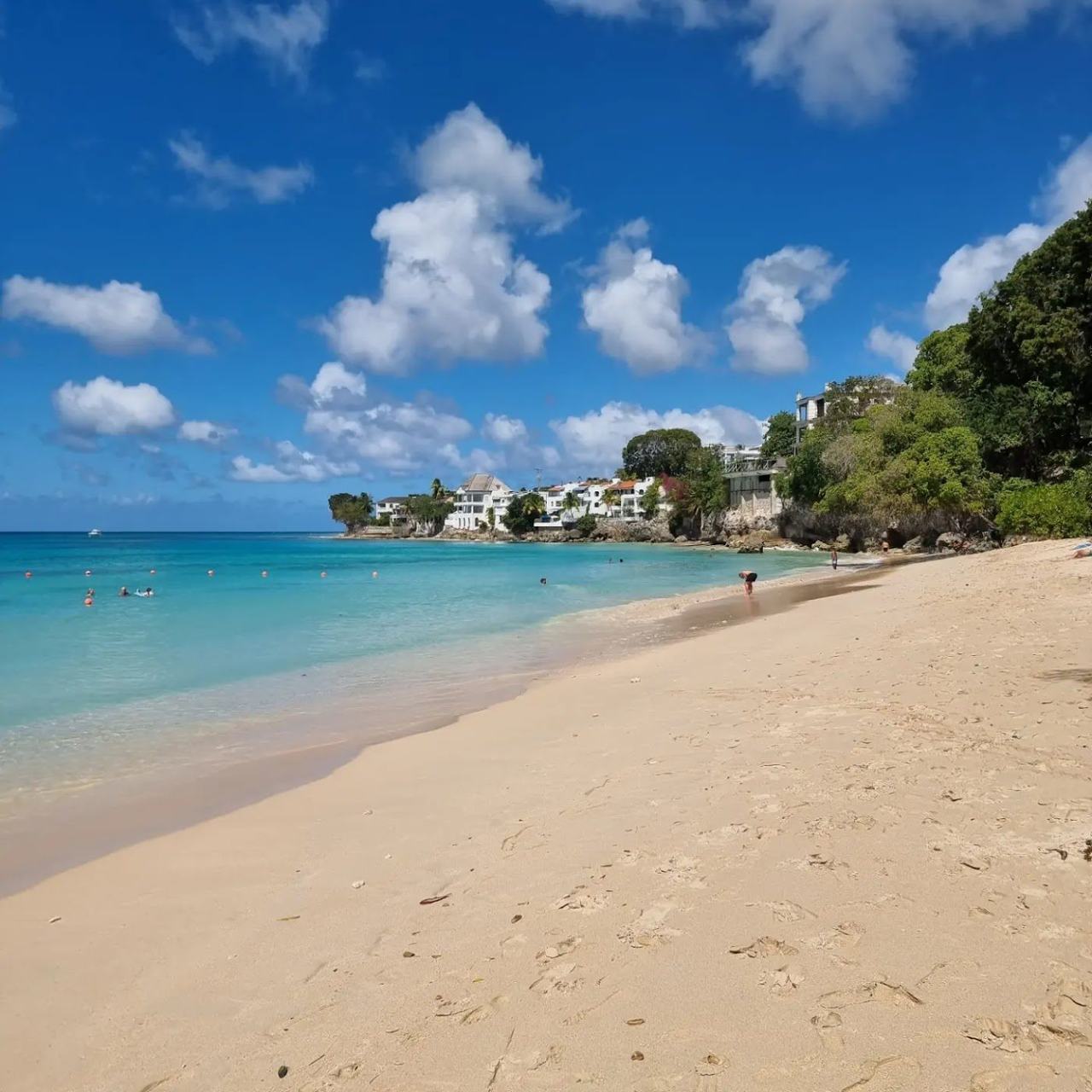The Caribbean dry season makes January warm, breezy and reliably sunny, with calm west coast swimming.