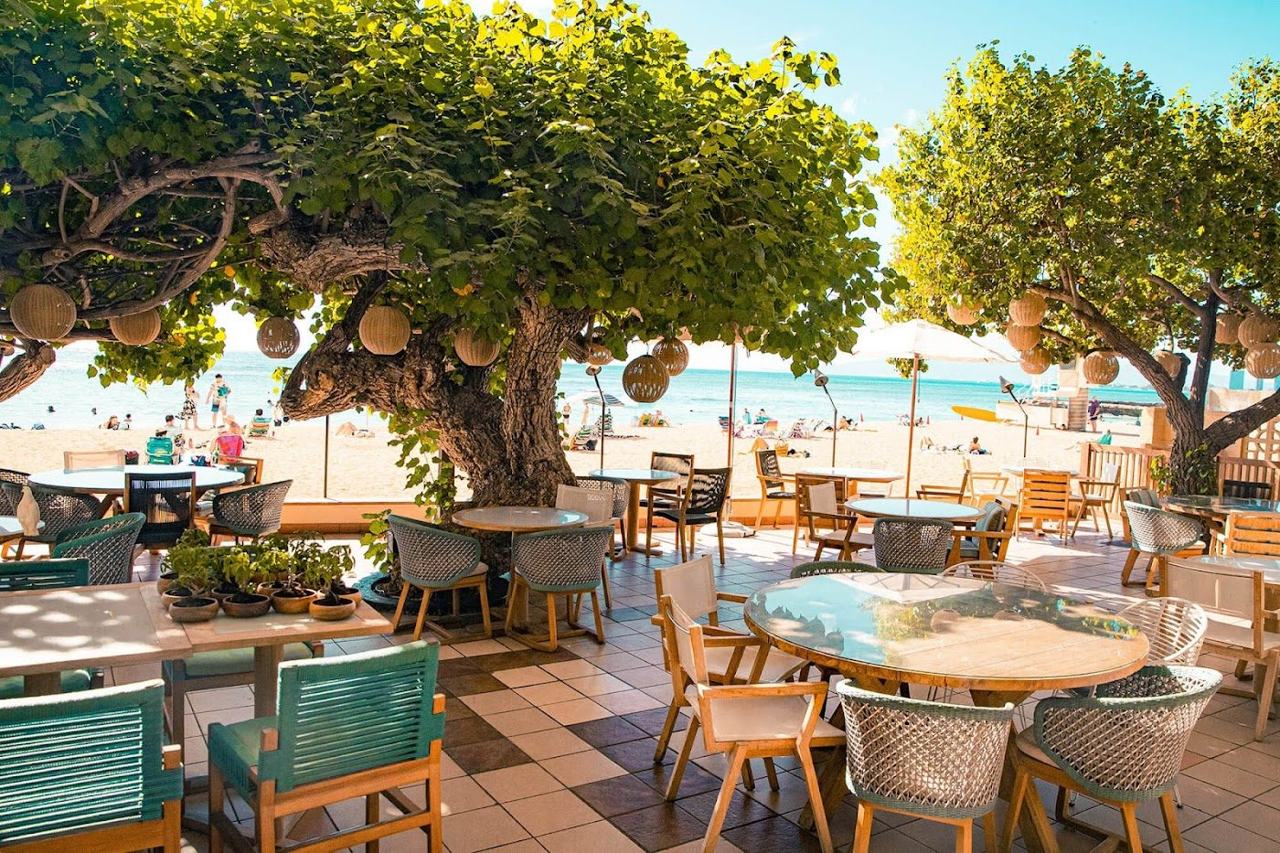 hau tree in Oahu Hawaii