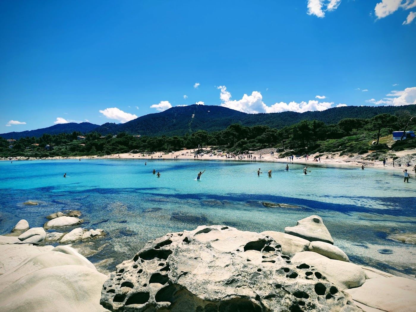 Shallow turquoise shallows and pine trees at Karydi beach near Vourvourou on Sithonia in Halkidiki