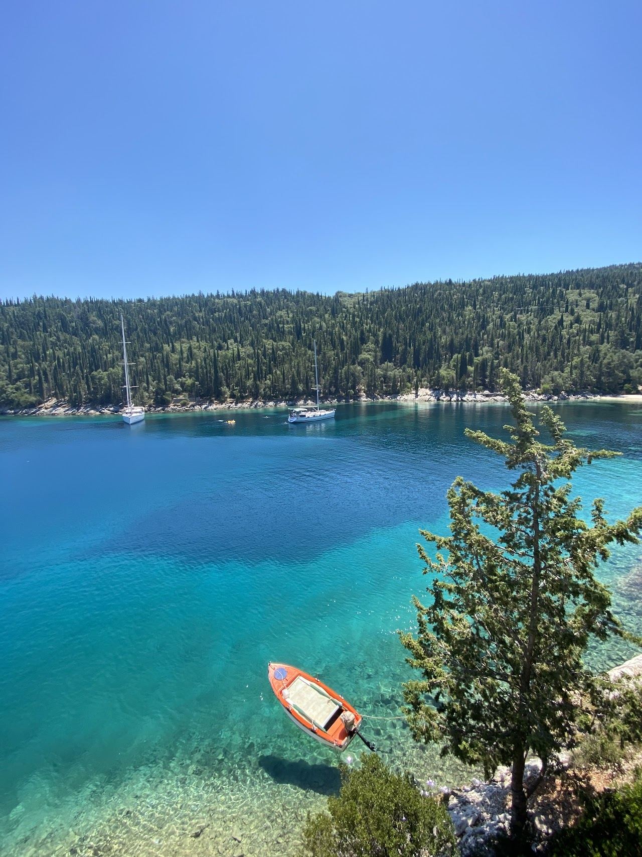 The tall cypress trees and clear water of Foki Beach near Fiskardo in Kefalonia