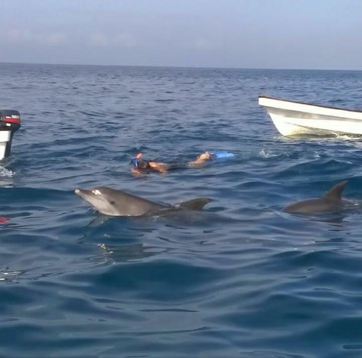 Local dolphin tour boats off the shore at Kizimkazi Dimbani in southern Zanzibar