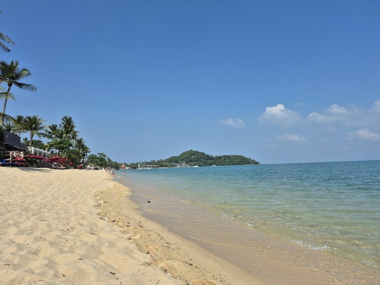 Calm water and palm fringed sand at Bophut beach on the north coast of Koh Samui