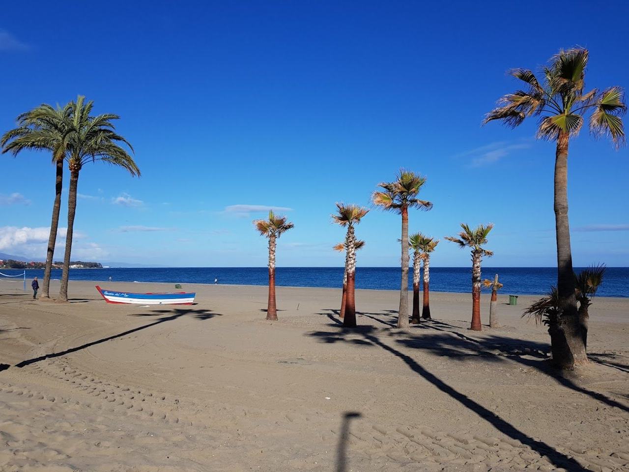 La Rada town beach and palm promenade in Estepona on the Costa del Sol