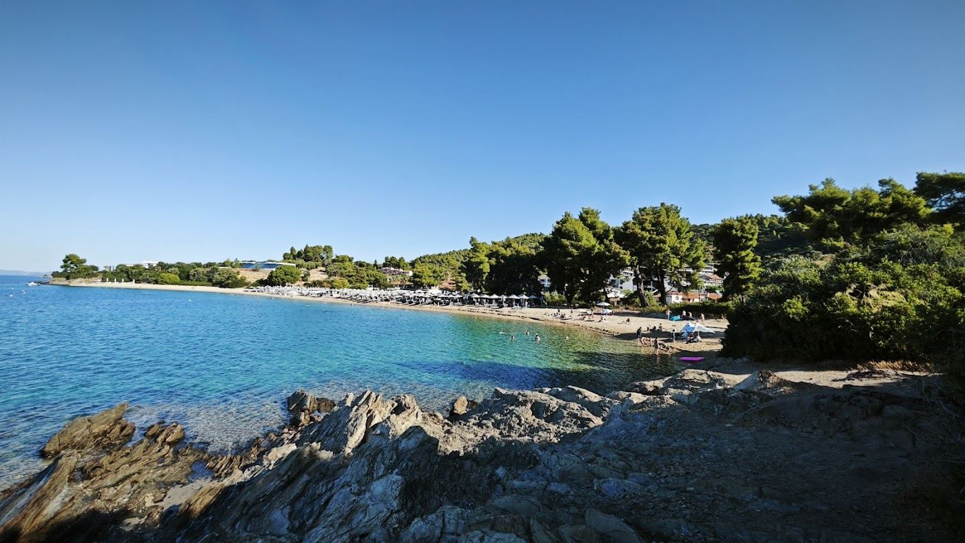 Clear water and pine backed sand at Lagomandra near Neos Marmaras on Sithonia in Halkidiki