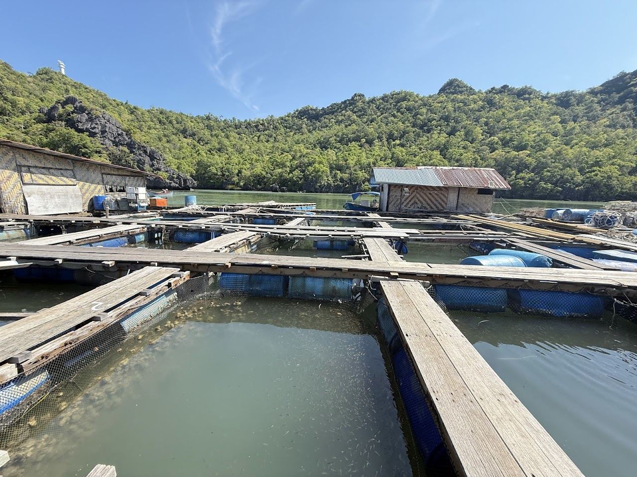 The open public access end of Tanjung Rhu bay with pale sand and calm water in northern Langkawi