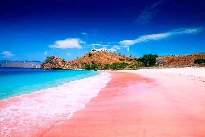 Soft blush coloured sand and clear shallow water at Pink Beach near Tanjung Ringgit in Lombok