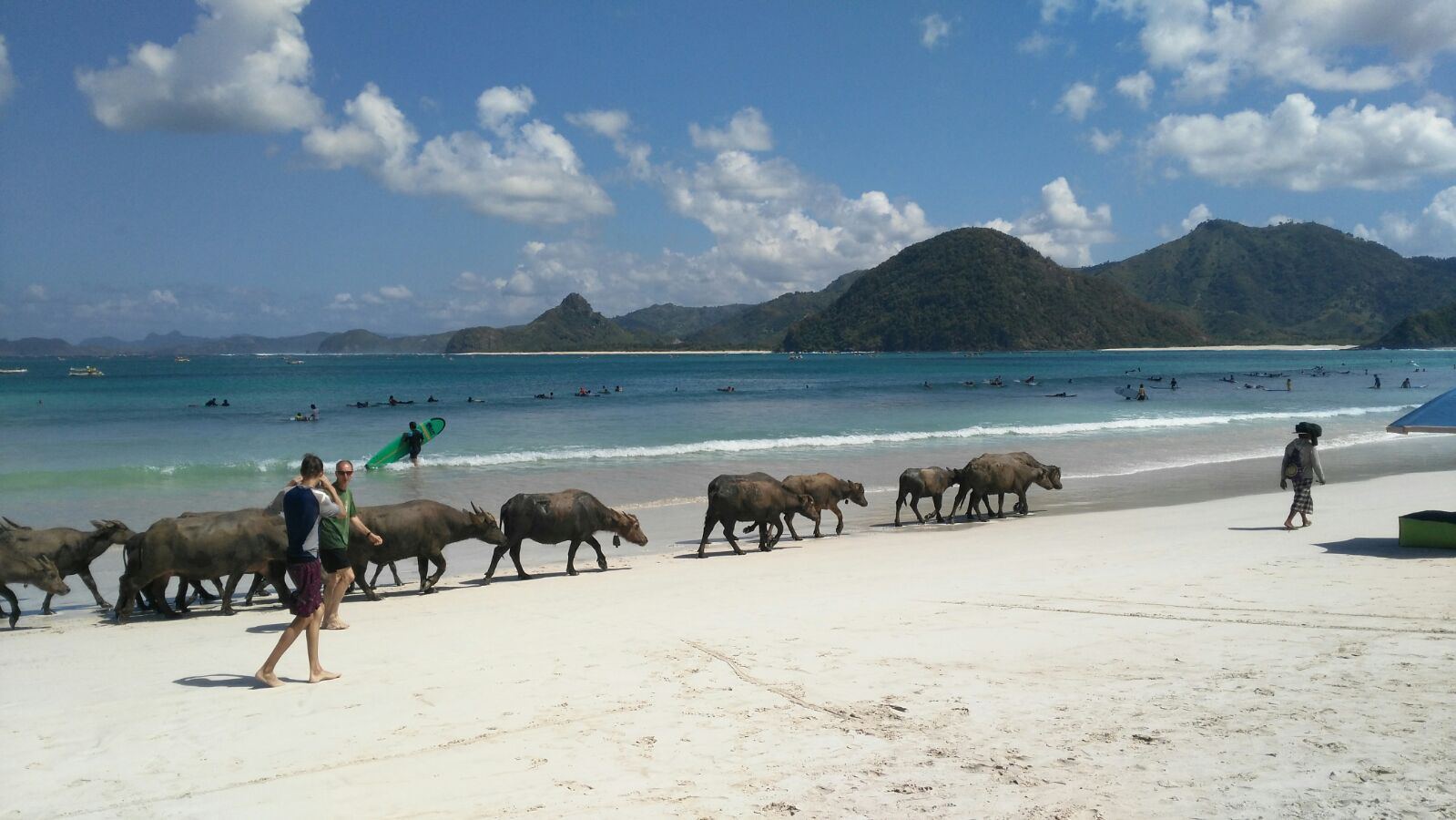 The wide pale crescent of Selong Belanak beach on the south coast of Lombok with gentle turquoise water