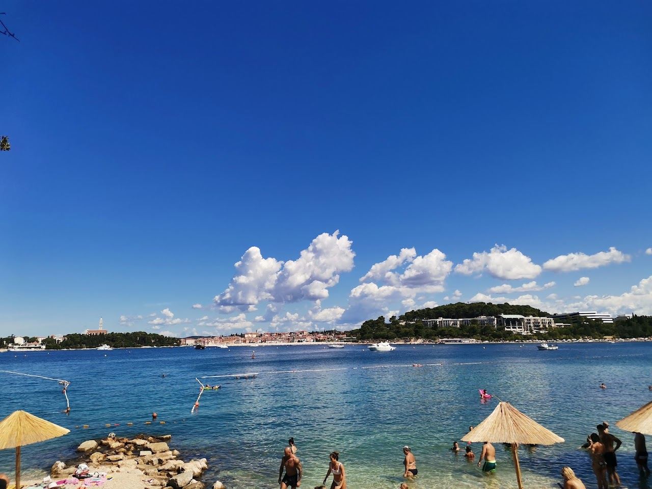 Pine shaded gravel shore and clear water at Lone Bay in the Zlatni Rt park near Rovinj in Istria