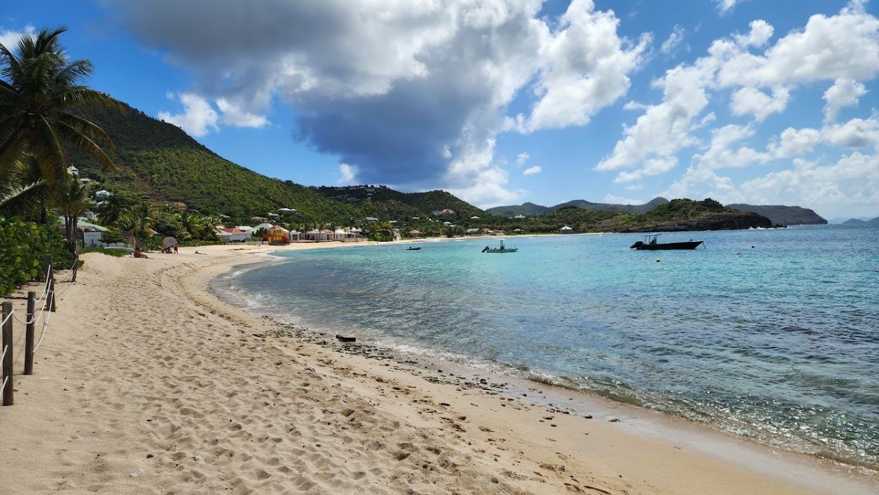 The pale sand and reef sheltered water of Lorient Beach backed by sea grape trees on St Barths