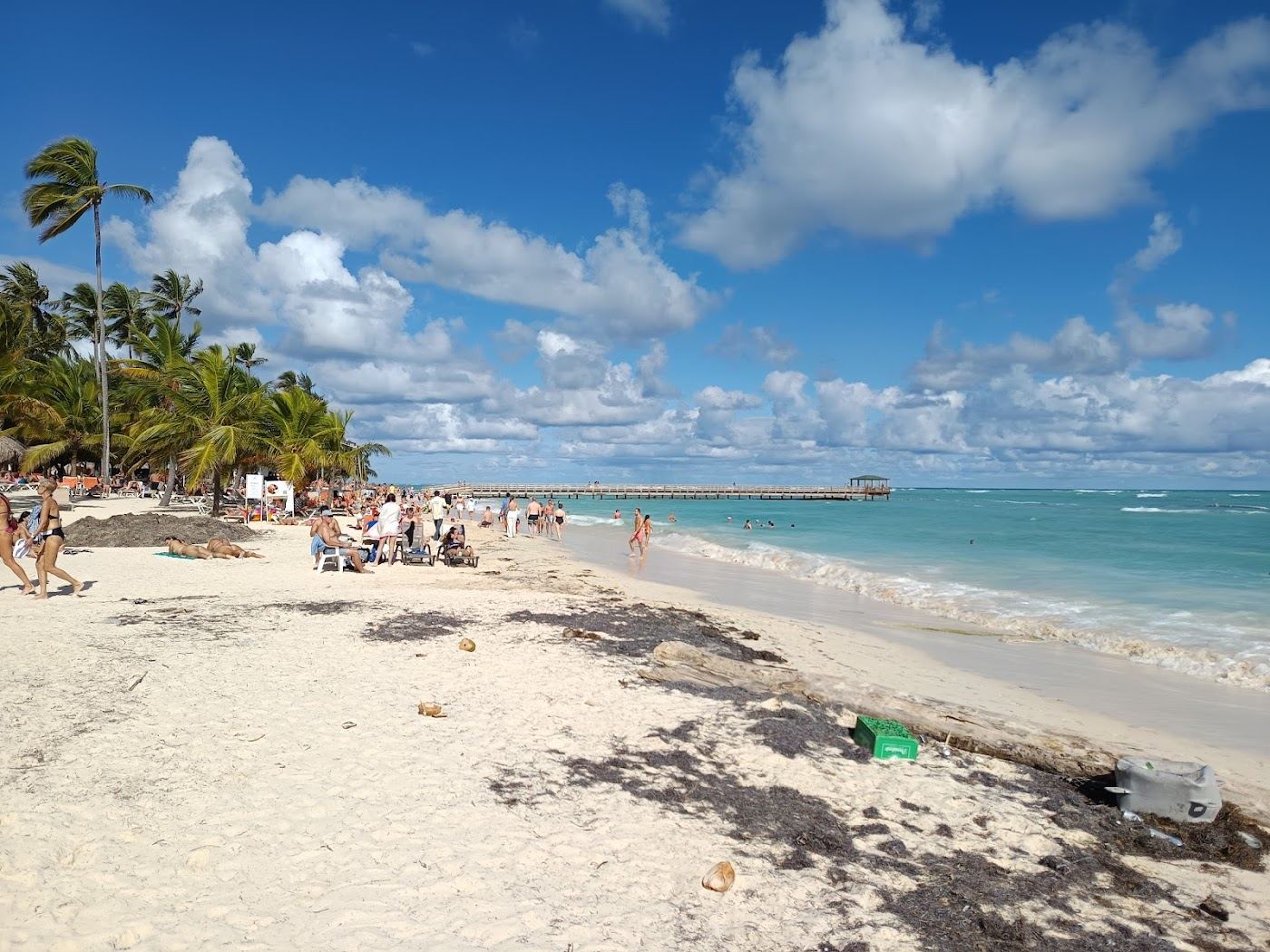 Calm turquoise shallows and soft white sand lined with palms at Playa Los Corales in Bavaro Punta Cana
