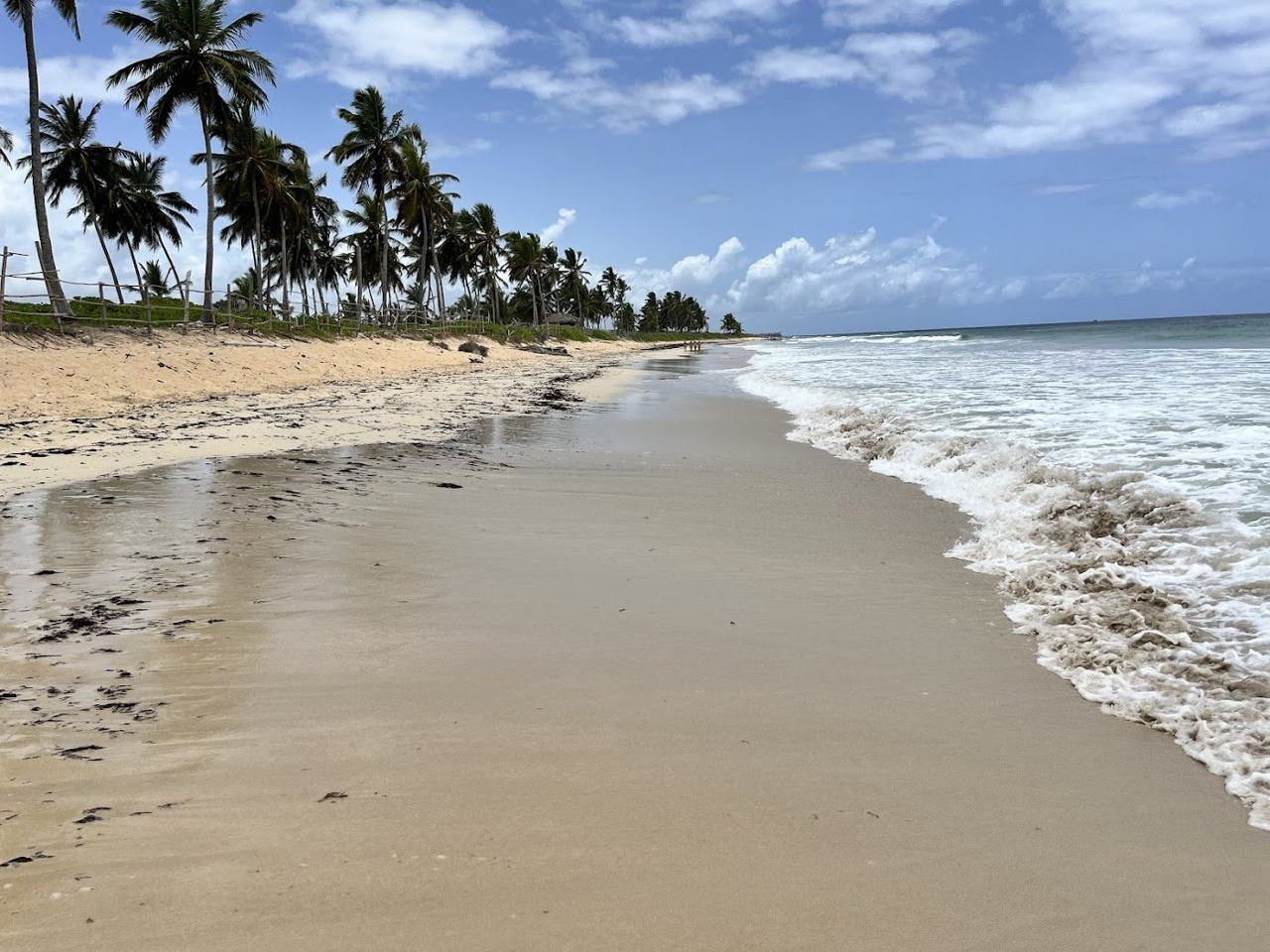 Golden sand, cliffs and rolling Atlantic surf at the public Playa Macao north of Punta Cana