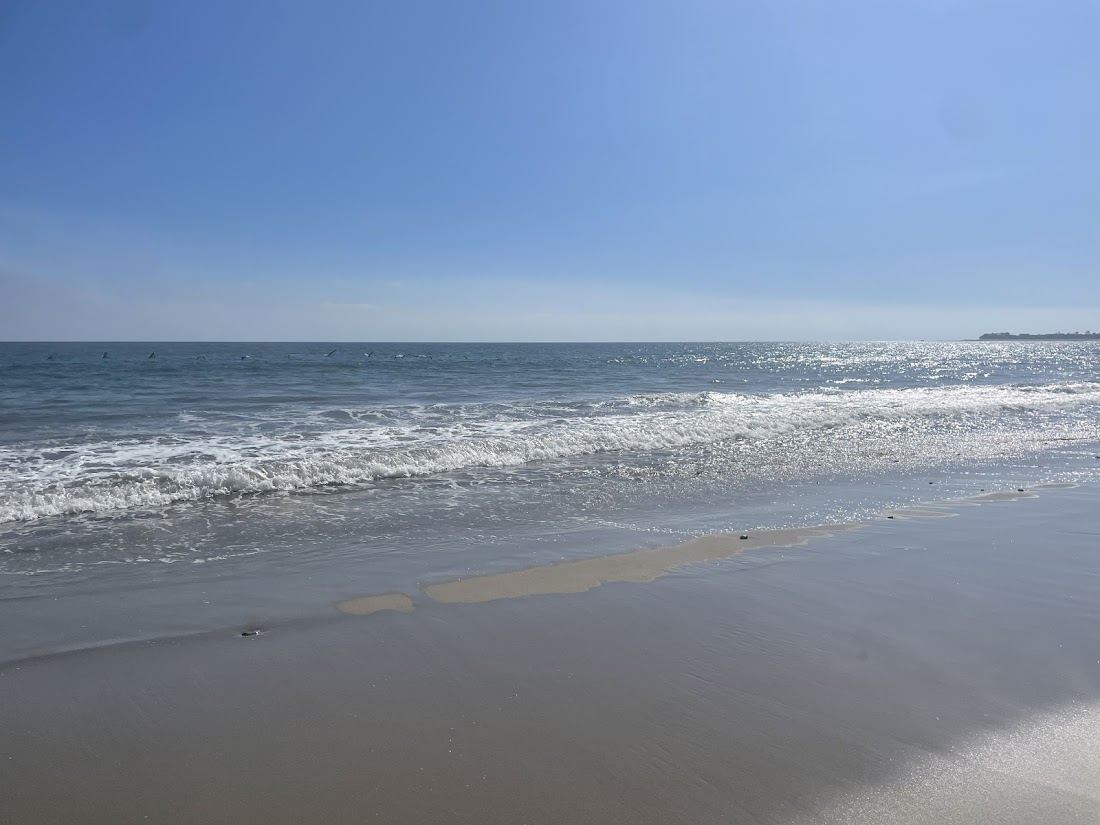 The narrow shoreline and homes along Carbon Beach in Malibu