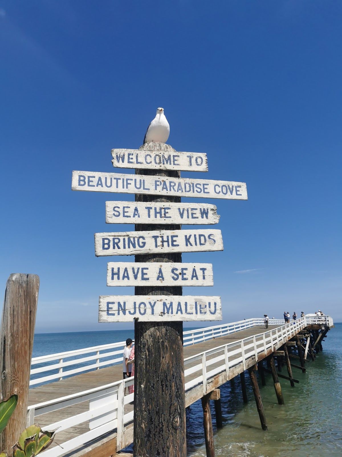 The sheltered cove and pier at Paradise Cove in Malibu