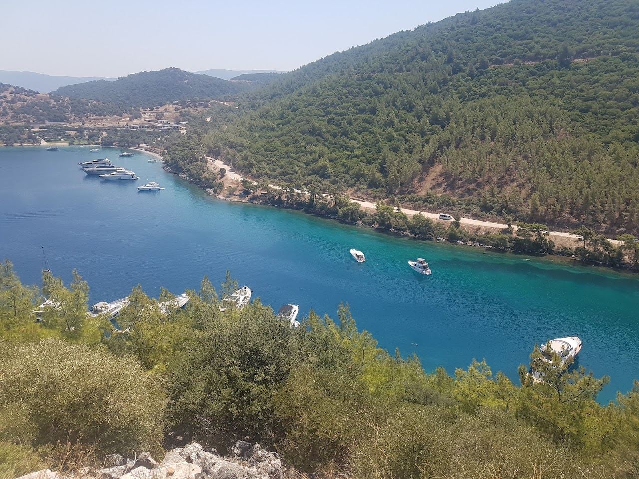Calm turquoise water and pine backed shoreline at Cennet Koyu near Golturkbuku, Bodrum