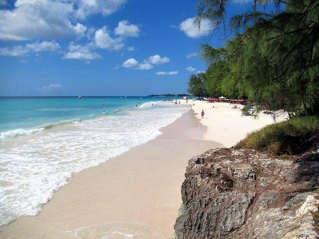 Dry, breezy and warm in the Caribbean season, with calm west coast swimming and a lively island.