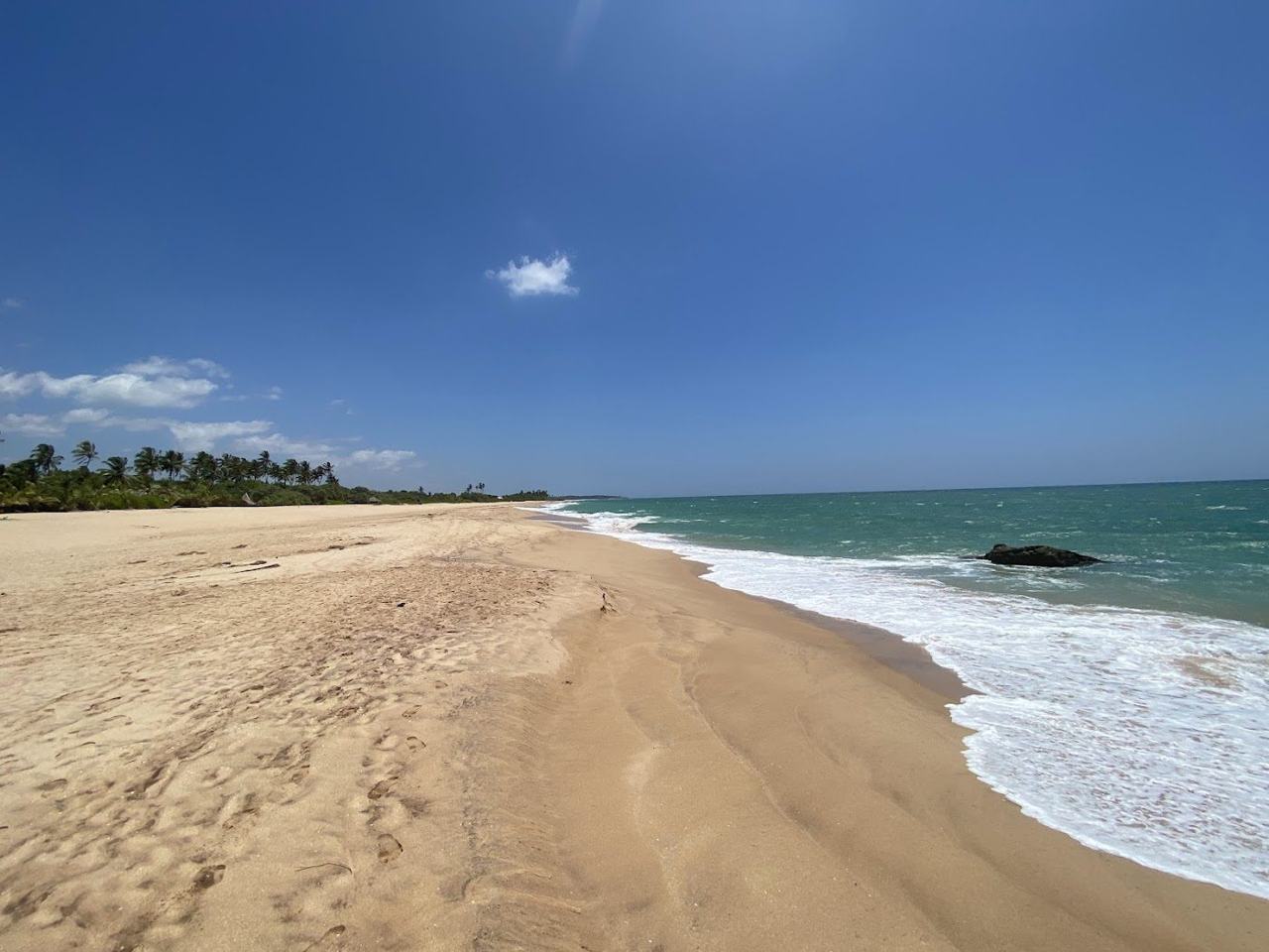Marakolliya Beach long empty palm backed sand near Tangalle on the Sri Lanka south coast