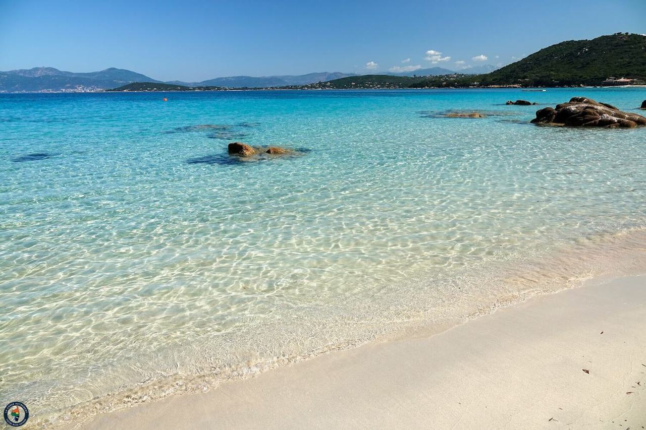 Pine backed sandy beach of Mare e Sole near Ajaccio in Corsica with calm clear water