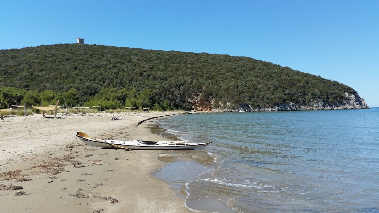 The wild driftwood strewn sand and dunes of Marina di Alberese in the Parco della Maremma on the Tuscany coast