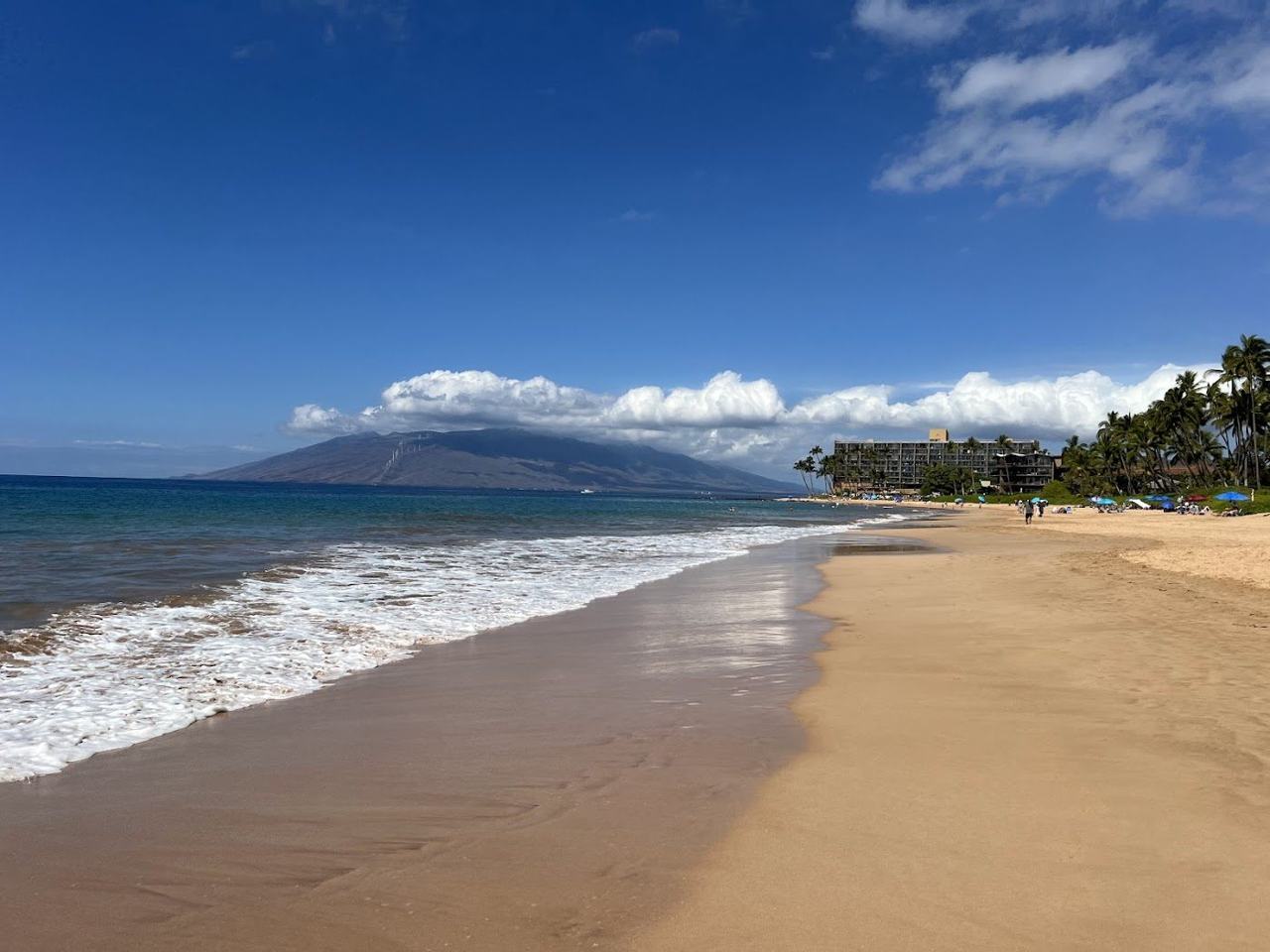 maui in