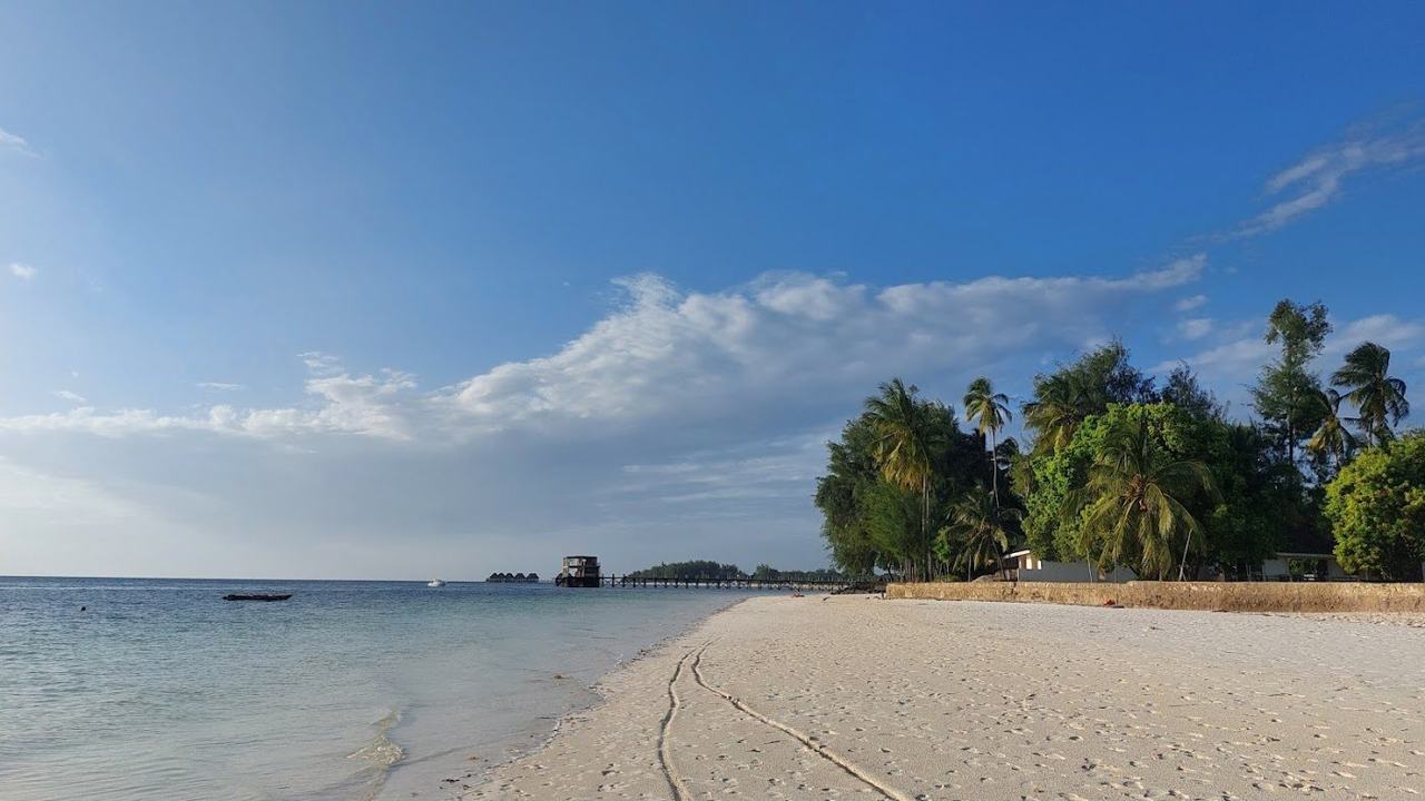 A second view of the pale sand, palms and reef lagoon on the Michamvi peninsula on Zanzibar