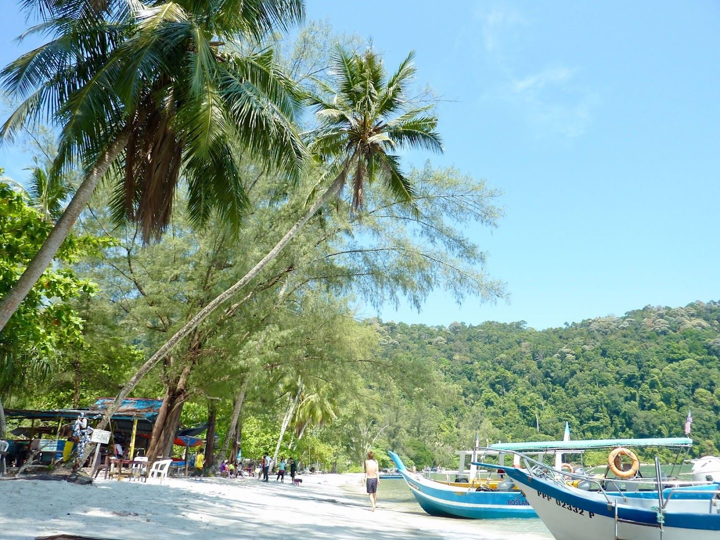 The forest trail and headland on the way to Monkey Beach in Penang National Park