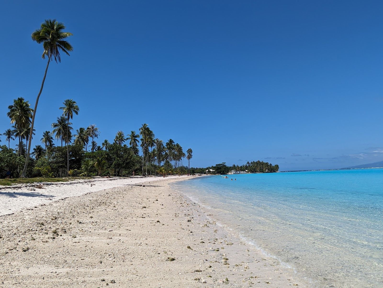 Warm flat lagoon and white sand behind the barrier reef on Moorea in French Polynesia