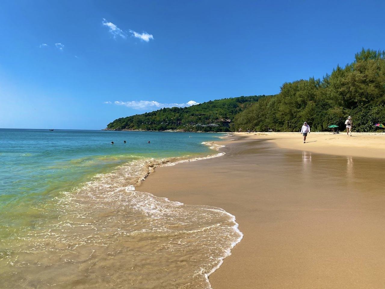 Quiet golden sand and casuarina trees at Nai Thon Beach in Phuket
