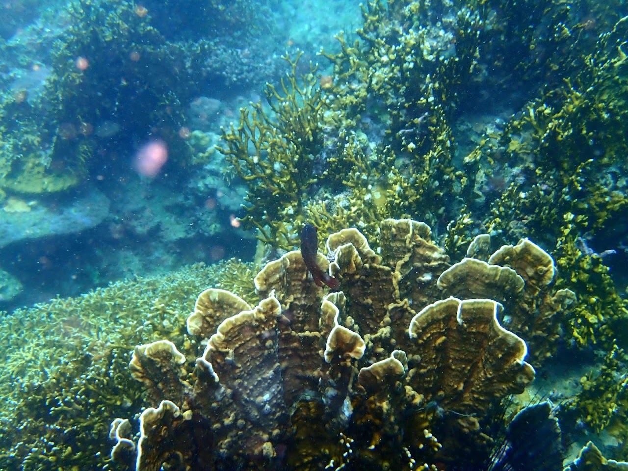 Clear calm water around Hon Mun island in the bay off Nha Trang