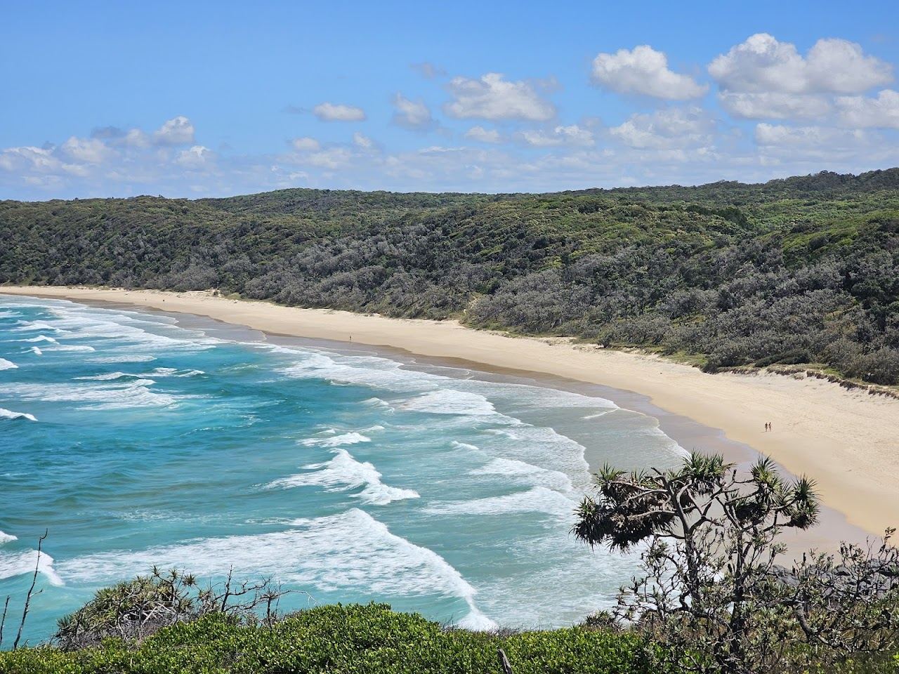 Empty pale sand curving toward the headland under soft light at Alexandria Bay in Noosa