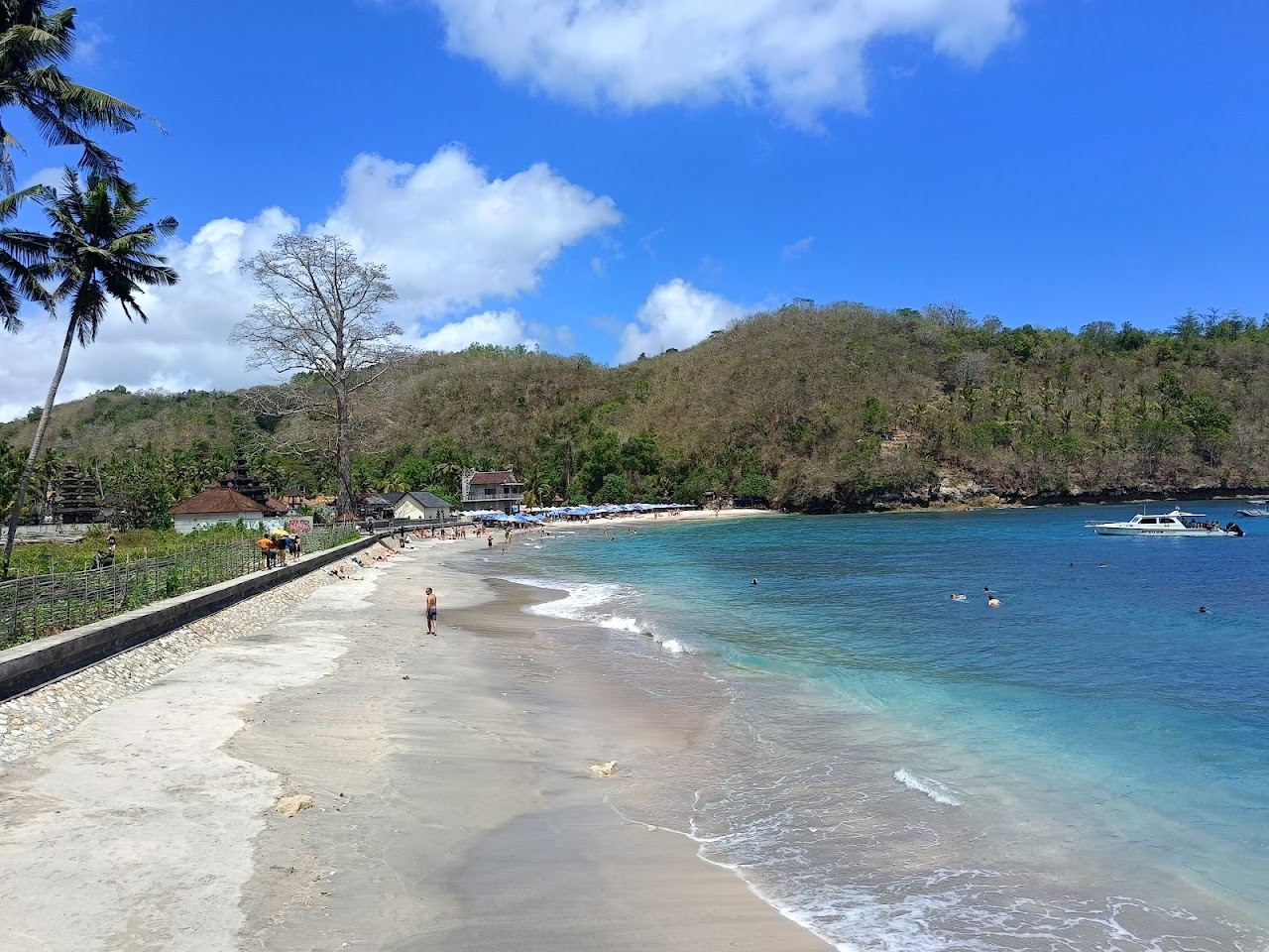 Palm backed crescent of sand and clear water at Crystal Bay on Nusa Penida