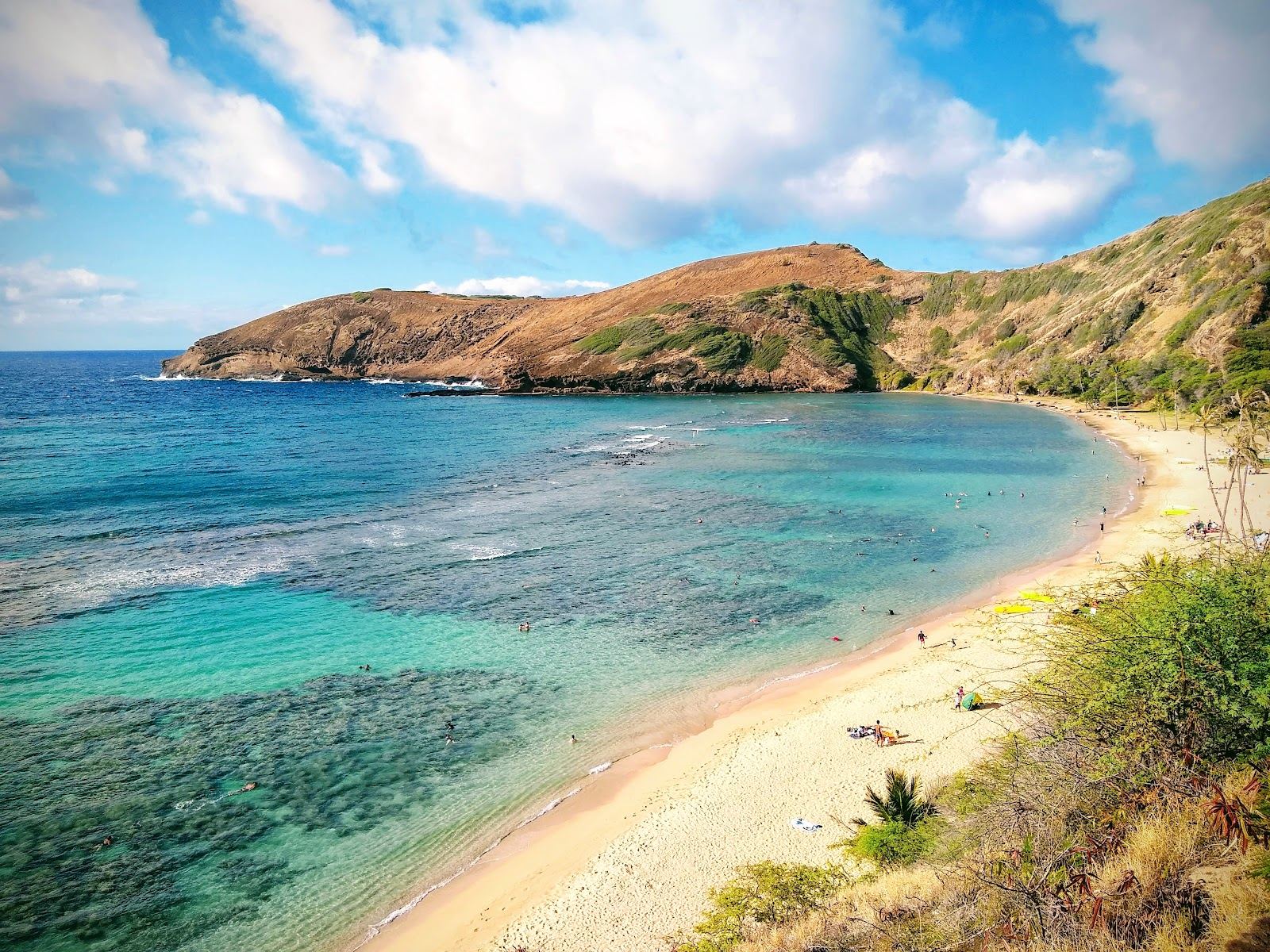 The curved reef and turquoise water of Hanauma Bay seen from the crater rim on Oahu