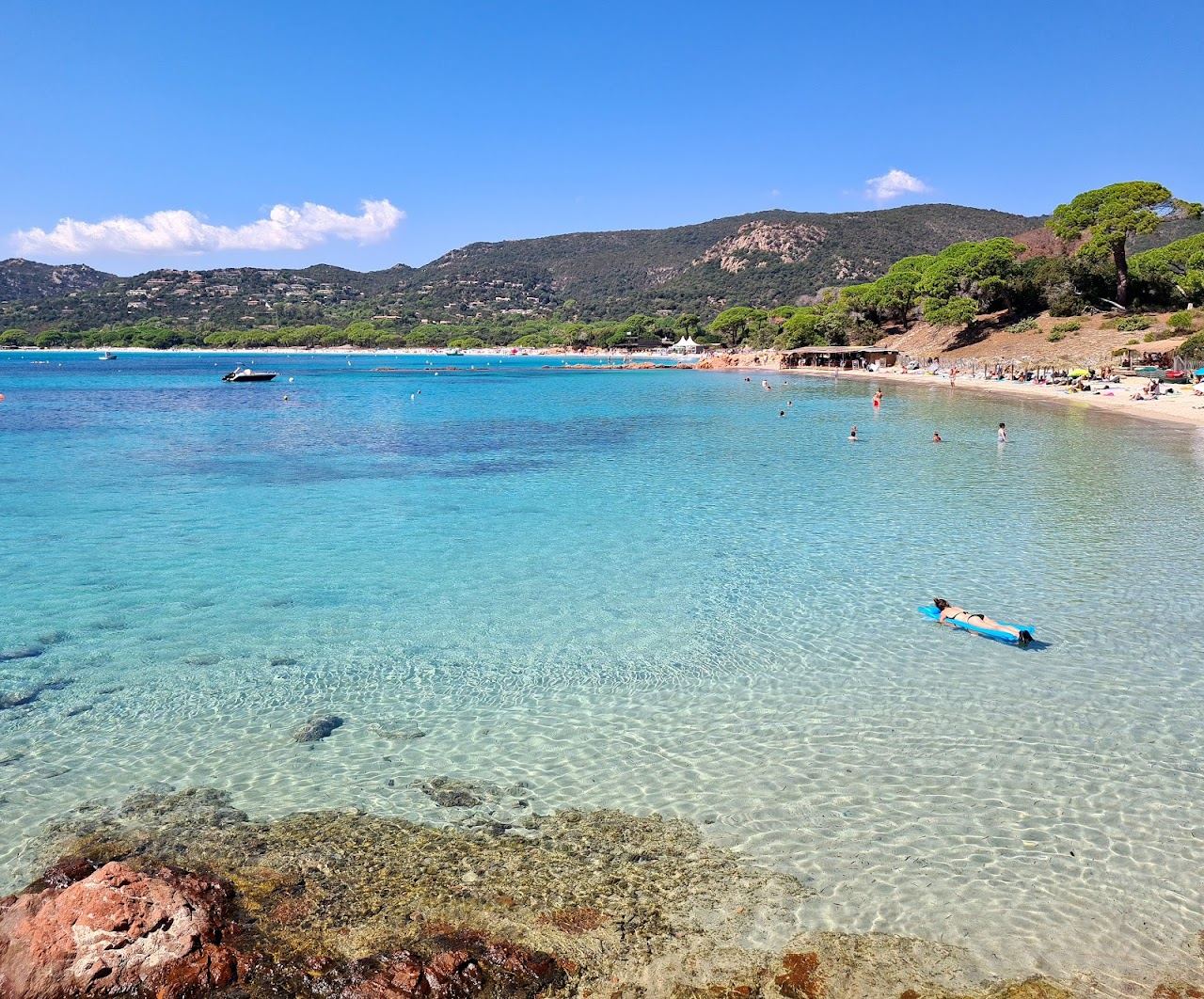 Clear turquoise shallows and pale sand at Palombaggia beach with umbrella pines along the shore