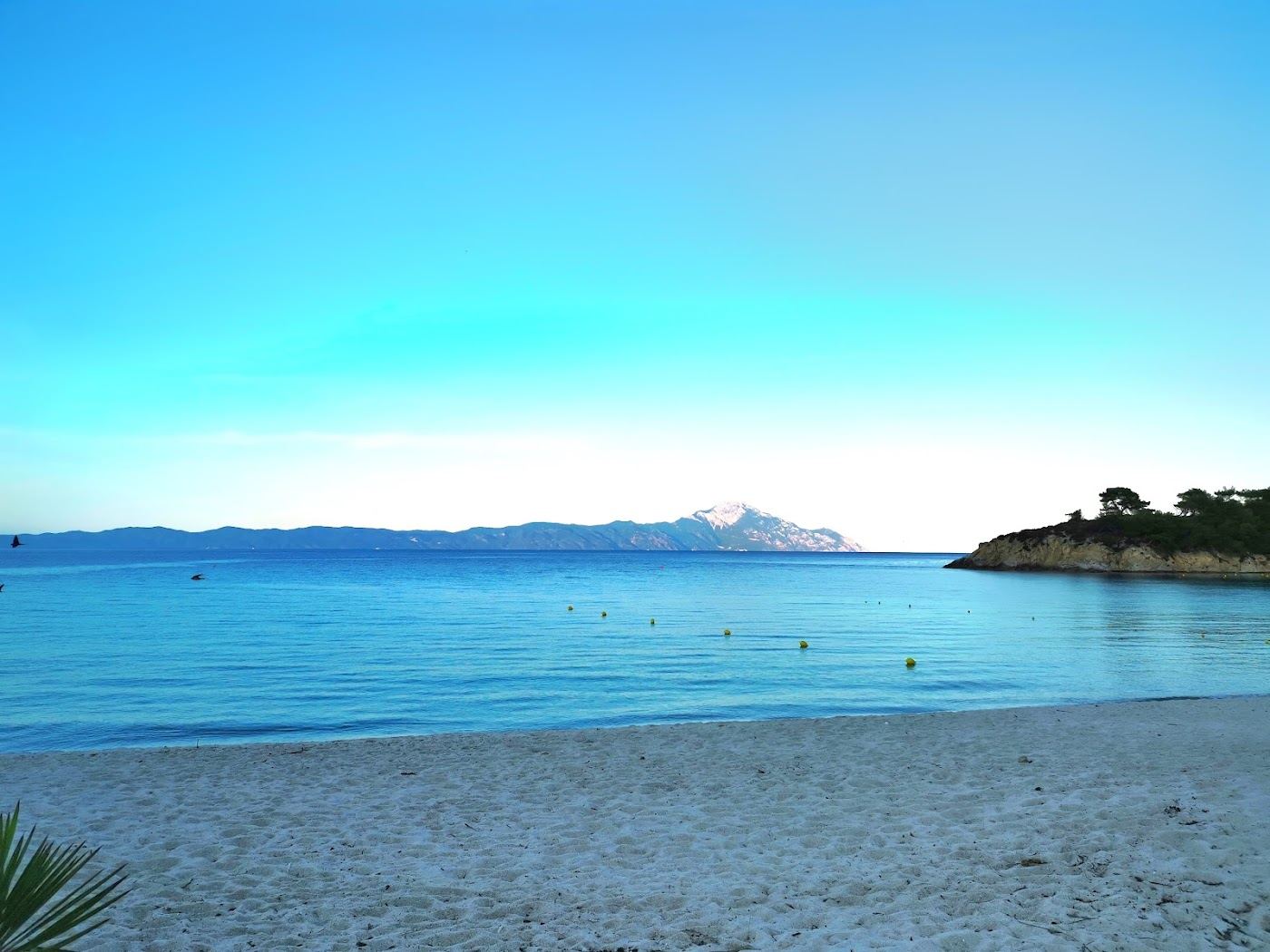 Turquoise water and soft sand in a pine framed cove at Platanitsi beach near Sarti on Sithonia in Halkidiki