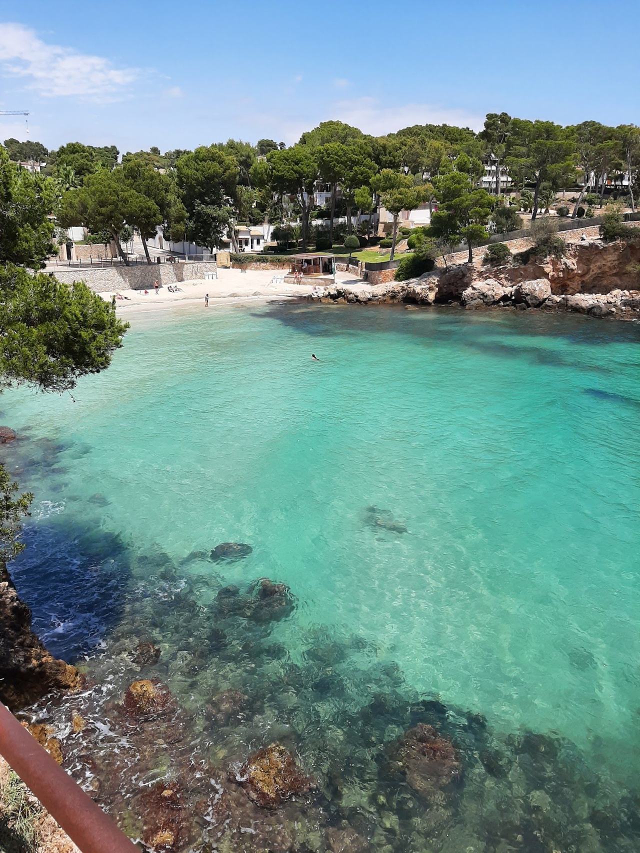 The small sheltered cove of golden sand and calm water at Portals Nous beside the Puerto Portals marina in Mallorca