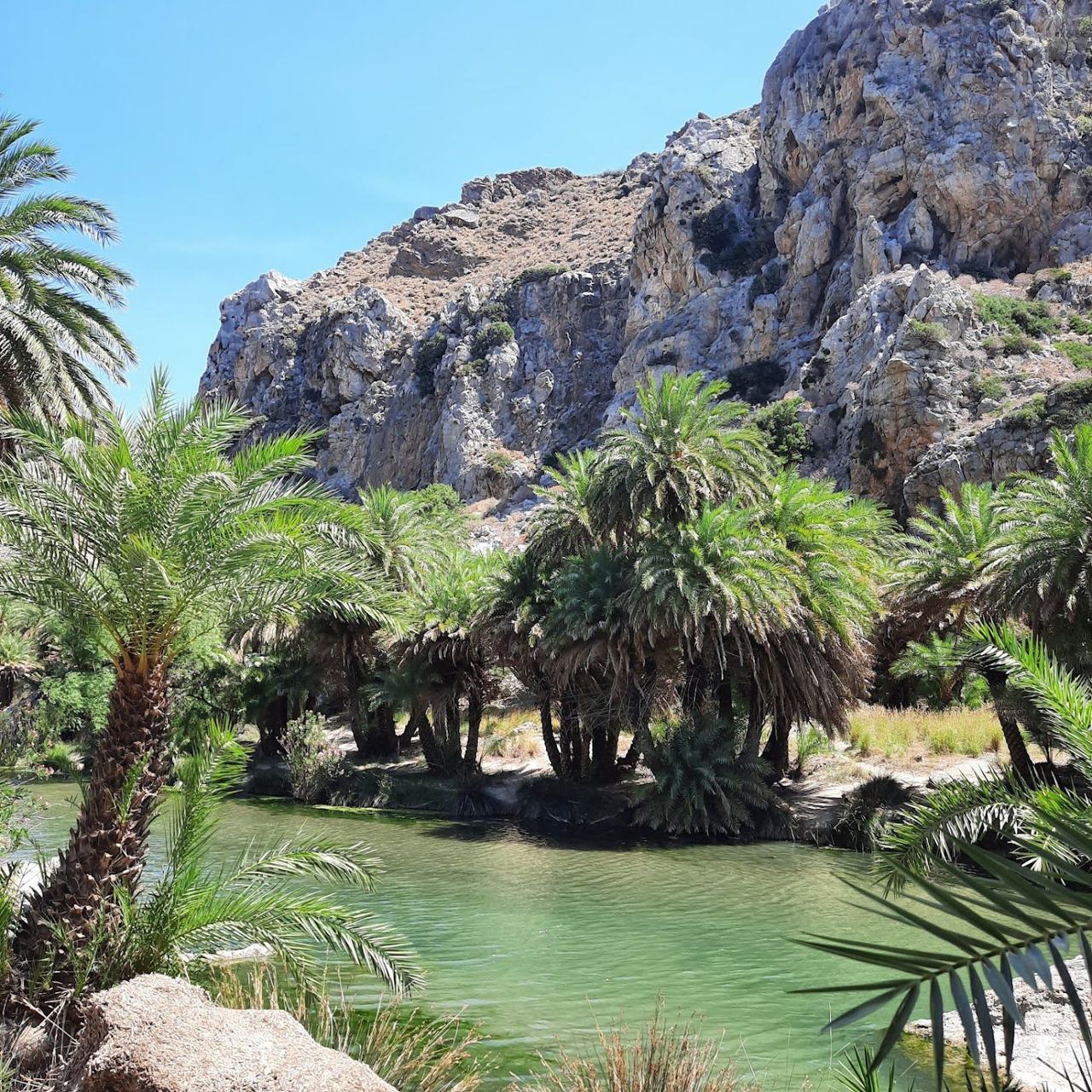 River and palm trees behind the sand at Preveli beach in southern Crete