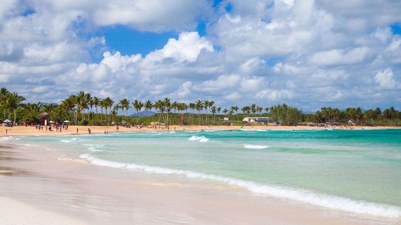 Wild palm backed sand and open Caribbean water at Macao beach near Punta Cana in the Dominican Republic